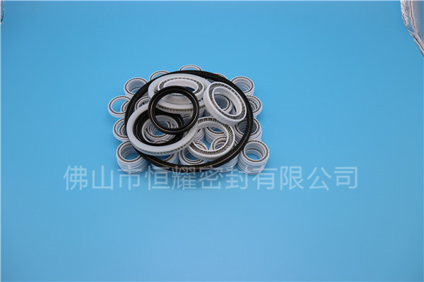 HOB、HVB孔用泛塞封 (6)