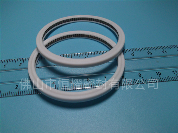 HVF、HVG端面內、外向泛塞封 (4)