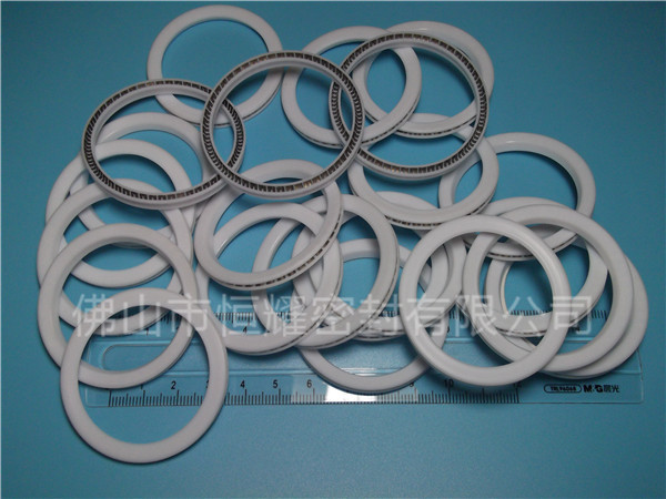 HVF、HVG端面內、外向泛塞封 (9)