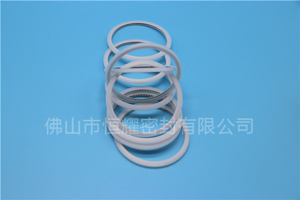 HVF、HVG端面內(nèi)、外向泛塞封 (15)