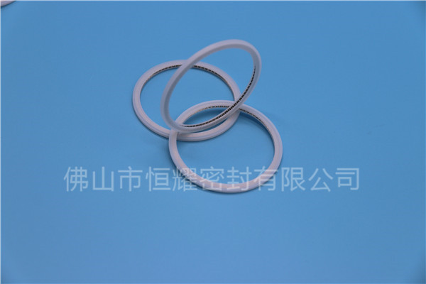 HVF、HVG端面內、外向泛塞封 (21)