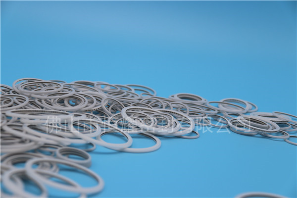 HVF、HVG端面內(nèi)、外向泛塞封 (22)