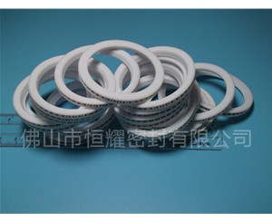 HVF、HVG端面內、外向泛塞封 (8)