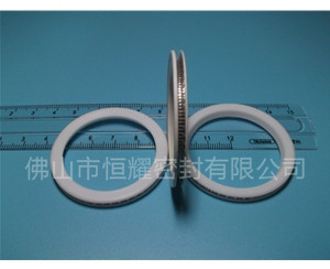 HVF、HVG端面內、外向泛塞封 (10)