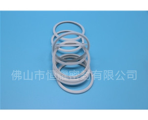 HVF、HVG端面內、外向泛塞封 (15)