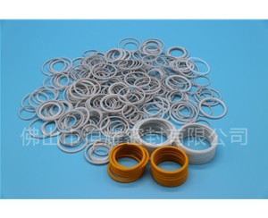 HVF、HVG端面內、外向泛塞封 (19)