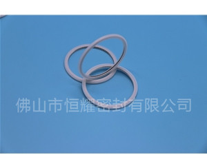 HVF、HVG端面內、外向泛塞封 (21)